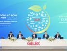 Gelex: Phát hành 8 triệu cổ phiếu, nâng vốn điều lệ lên 8.895 tỷ đồng
