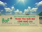 BAF Việt Nam thừa nhận sai sót, lượng cổ phiếu ESOP 'ế' tăng vọt