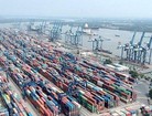 Tân Cảng Sài Gòn nói gì về thông tin hàng xuất khẩu bị 'rút ruột' tại Cát Lái?