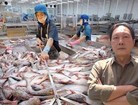 Đại gia miền Tây Dương Ngọc Minh: Từ 'vua cá tra' đến nợ nghìn tỷ