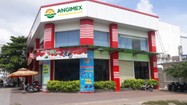 Angimex bán Nhà máy lúa gạo Bình Thành, tập trung kinh doanh cốt lõi