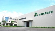 Giống cây trồng Việt Nam (Vinaseed) sắp chi hơn 35 tỷ đồng trả cổ tức