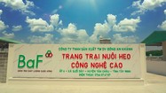 BaF Việt Nam chào bán hơn 7,1 triệu cổ phiếu ESOP, giá chiết khấu 55%