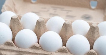 Nên ăn cả quả trứng hay chỉ ăn lòng trắng trứng là tốt nhất?