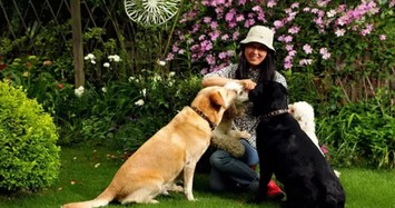 Người phụ nữ U50 chi 2 tỷ về ngoại ô làm nhà vườn xanh mát sống cùng 5 chú chó