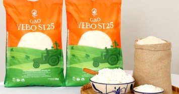 VEBO ST25 - Đưa hạt gạo chuẩn quốc tế đến bàn ăn gia đình Việt