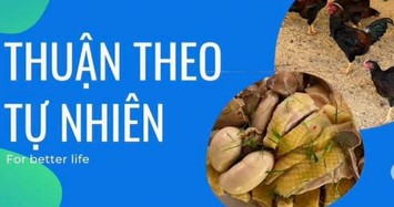 Farm Việt - giấc mơ hiện thực hóa thực phẩm thảo dược sạch và an toàn vì sức khỏe người tiêu dùng