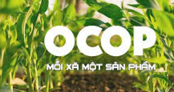 Hưởng ứng Chương trình OCOP để nâng tầm nông sản Việt