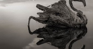 Natron: Hồ nước "chết chóc", đáng sợ nhất thế giới