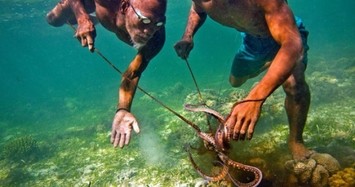 Vì sao người Bajau có khả năng "nhịn thở" lặn dưới biển sâu 70 mét để bắt cá?