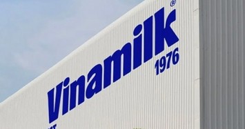 Vinamilk – doanh nghiệp duy nhất của ngành sữa Việt Nam trong danh sách Fortune 500 Đông Nam Á