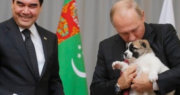 Danh sách thú cưng "độc lạ" của Tổng thống Nga Putin