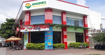 Angimex bán Nhà máy lúa gạo Bình Thành, tập trung kinh doanh cốt lõi