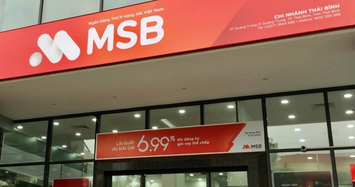 MSB: Tăng trưởng chậm trong 2 năm tới nhưng hứa hẹn tiềm năng dài hạn
