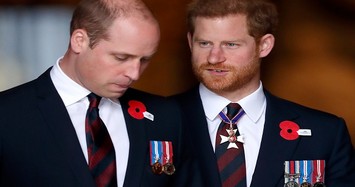 Hai Hoàng tử William và Harry từng thân thiết thế nào?