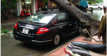 Hình ảnh Hà Nội mưa lớn, nhiều ô tô bị cây đổ đè bẹp
