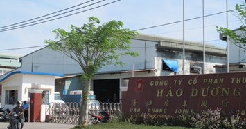 'Sức khỏe' Công ty Hào Dương vừa bị TP HCM yêu cầu thu hồi dự án