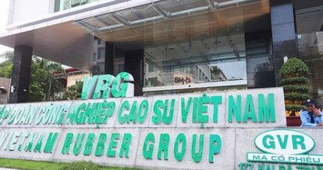 Đại gia nào đầu tư khu công nghiệp rộng 500ha ở Tây Ninh?