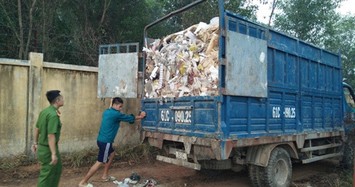 Bắt quả tang 7 xe chở rác từ Bình Dương qua Đồng Nai đổ trộm