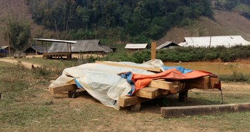 Video: Cận mặt lâm tặc phá rừng Chiềng Khừa