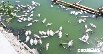 Cá chết nổi trắng hồ ở Đà Nẵng: Công ty Thoát nước khẳng định do nắng nóng, dân nói do nguồn nước thải