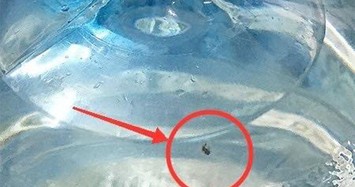 Bình nước Lavie 19 lít có vật thể lạ nghi xác ruồi phân hủy
