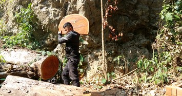 Sơn La: Tận mắt xem lâm tặc phá rừng Chiềng Khừa