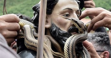 Ám ảnh lễ hội rắn bò nhung nhúc ở Italia