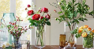 3 loại hoa và cây không nên trồng trong nhà kẻo nguy hại sức khỏe 