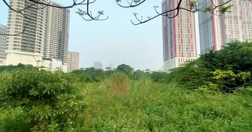 Cỏ hoang phủ đầy trên 'đất vàng' Constrexim Complex ở Hà Nội 