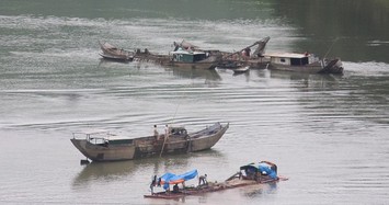 Dân dựng cọc chống tàu cát trên sông Bồ