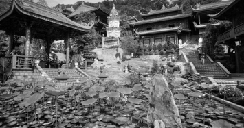 Giàu ý nghĩa giai thoại về đôi mãng xà chùa Hang nổi tiếng