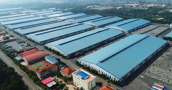 Tân Cảng Long Bình phát hành 12,35 triệu cổ phiếu để tăng vốn 55%