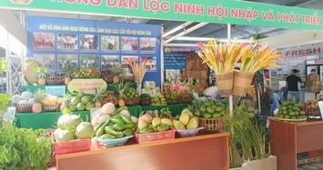 Bình Phước tổ chức Hội chợ trái cây và hàng nông sản lần thứ VI