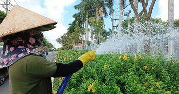 BR-VT: Minh Phúc Lộc trúng gói thầu xây dựng hoa xuân đón Tết hơn 7,2 tỷ