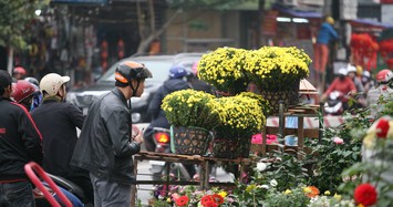 Dạo quanh phố hoa Hoàng Hoa Thám ngày cận Tết 
