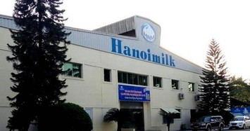 Công ty CP Sữa Hà Nội nợ tiền bảo hiểm lên tới 16,1 tỷ đồng