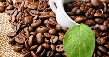 Giá cà phê hôm nay 5/10: Sụt giảm thê thảm xuống còn 32.200 đồng/kg