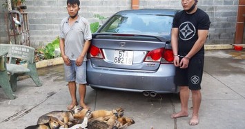 2 người đi ôtô Honda Civic bắn hạ 14 con chó