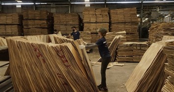 Cảnh báo luồng gỗ bất hợp pháp từ nước ngoài tuồn vào Việt Nam