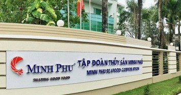“Vua tôm” Minh Phú báo lãi giảm 36% trong 9 tháng, cổ phiếu đi xuống