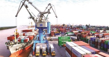 Container Việt Nam đưa ra dự tính lãi có thể giảm 12% trong năm 2021