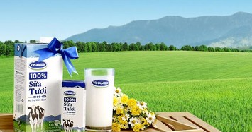 VNDirect: Vinamilk hạ giá sữa bột giúp cải thiện biên lợi nhuận