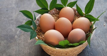 Trứng gà Nhật Bản hơn 100.000 đồng/quả có gì đặc biệt?