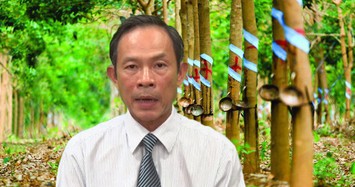 Tỷ phú chứng khoán Trần Ngọc Thuận điều hành Tập đoàn Cao su không đạt kế hoạch