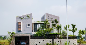 Ngôi nhà quê xanh mướt giữa Đà Nẵng ai nhìn cũng xiêu lòng 