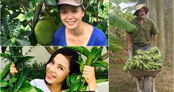 Vườn trái cây hàng nghìn m2 của sao Việt