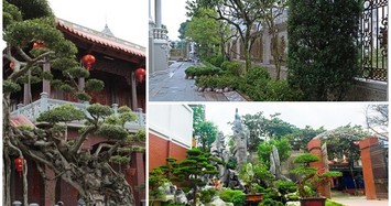 Đại gia Việt chi tiền tỷ xây sân vườn bên trong biệt thự như tiên cảnh