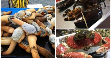 Đại gia vẫn ưa chuộng hải sản nhập ngoại khổng lồ 