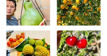 Mát mắt vườn hoa quả trĩu cảnh trong biệt thự ở Mỹ của Bằng Kiều 